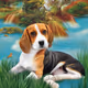 loving beagles