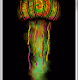 The Luminance Project