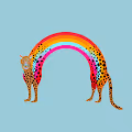 Rainbow Creatures