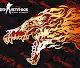 csgo wallpaper