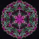 Visionary Mandala