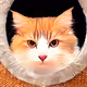 Feline_NFT - old