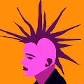 Punk not Perfection
