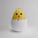 Cypto Chicks