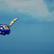 Animoca All Terrain Trailer