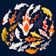 Fancy Carp