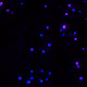 Glow Particles by Tibix - old