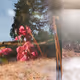 SIGHTS + PLACES + THINGS