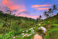 Bali artist collective