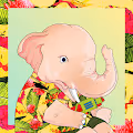 Elephaniverse