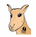 CERTIFIED ALPACA CLUB