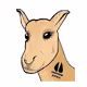 CERTIFIED ALPACA CLUB