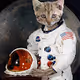 SpaceCatz! - old V2