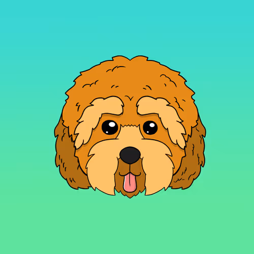 Cockapoo Kennel Club