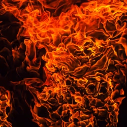 Espace réservé aux médias de l'article