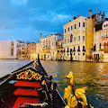 My Venice Collection