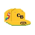 8 Bit Brims