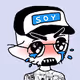 Soylads