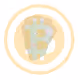 BTCNakamoto Official Bassmint Token