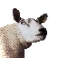 Rare Sheep with Rare Pizza Traits - 51% goes to the pizzaDAO