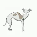 We love animals