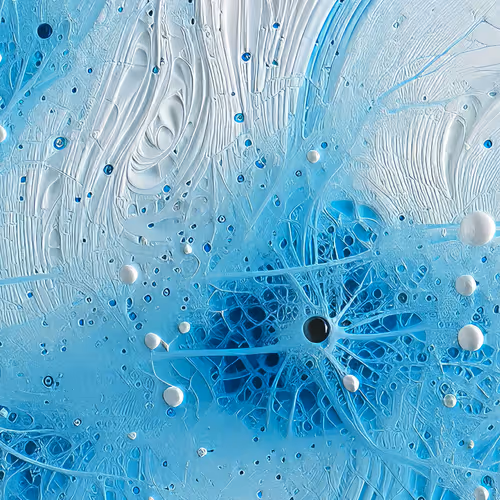 ANOMALY AI ART by Star Im