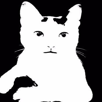 cat_rainbow