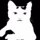 cat_rainbow