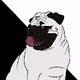 JunoThePug Collection
