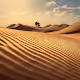 UAE Desertscapes