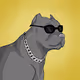 Pitbulls The Fiercest Dogs