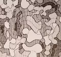 PLANNED_randomness