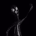 ALNX by CXJ