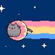 Collectible Cat NFTs