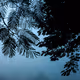Editions : Archit