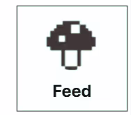 Feed