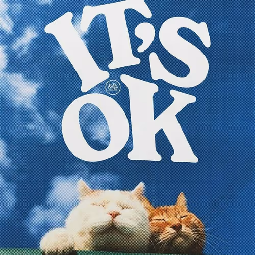 Okay cats