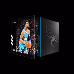 P.J. Washington - Base Set (Series 3) #11769