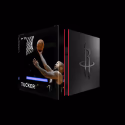 P.J. Tucker - Base Set (Series 1) #751