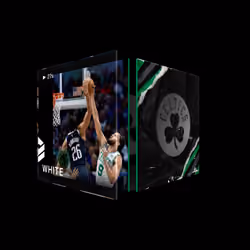 Derrick White - Base Set (Series 4) #47