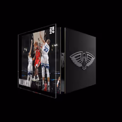 Zion Williamson - Base Set (Series 2023-24) #3225