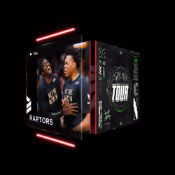 Toronto Raptors - The Tour (Series 4) #2787