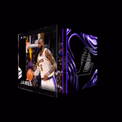 LeBron James - Base Set (Series 4) #560