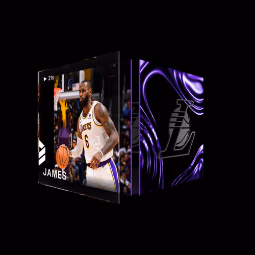 LeBron James - Base Set (Series 4) #1562