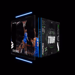 Ousmane Dieng - The Tour (Series 4) #6426