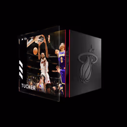 P.J. Tucker - Base Set (Series 3) #31624
