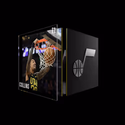 John Collins - Base Set (Series 2024-25) #2015