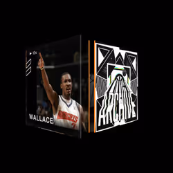 Gerald Wallace - Archive Set (Summer 2021) #15433