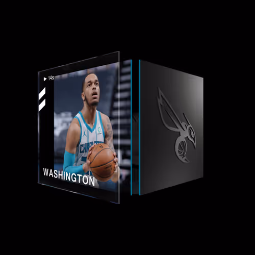 P.J. Washington - Base Set (Series 2) #25046