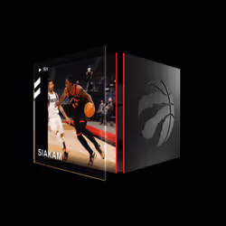 Pascal Siakam - Base Set (Series 2) #9956